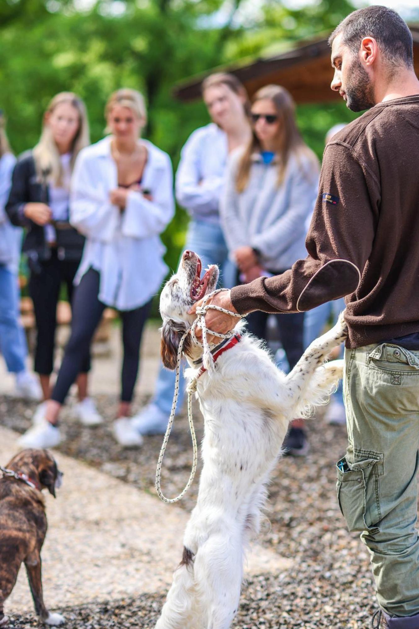 Séjour à la ferme Bio-agriturismo La Ginestra