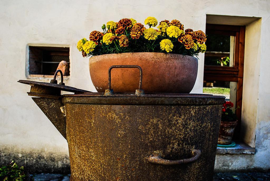 Bio-agriturismo La Ginestra Séjour à la ferme San Casciano in Val di Pesa